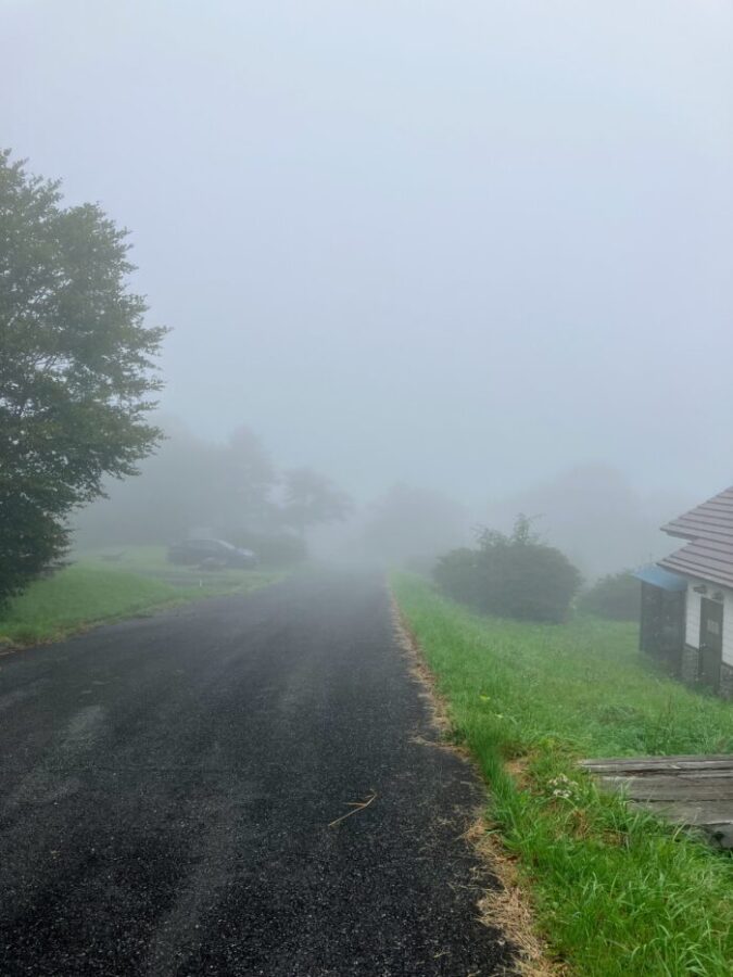 霧がかった山の景色