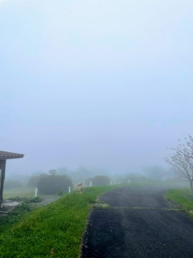 霧がかった山の景色